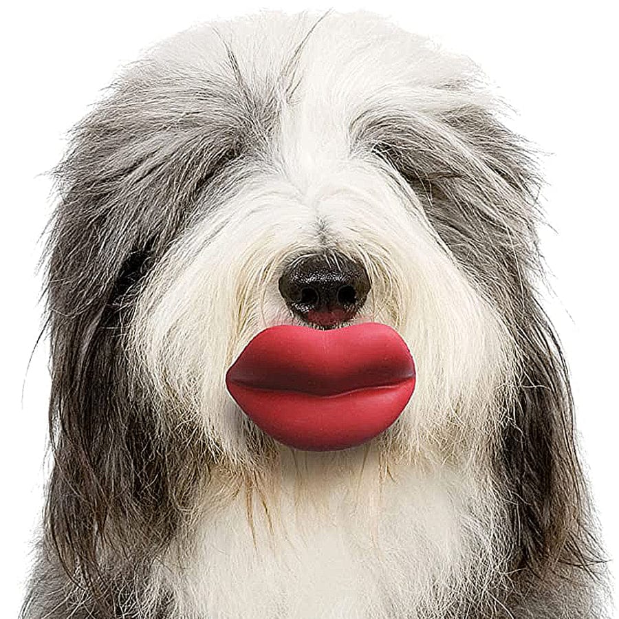 Giant Lips Dog Toy for Hilarious Fetch Games