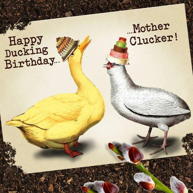 Happy Ducking Birthday, Mother Clucker Birthday Card - – FRIVVY