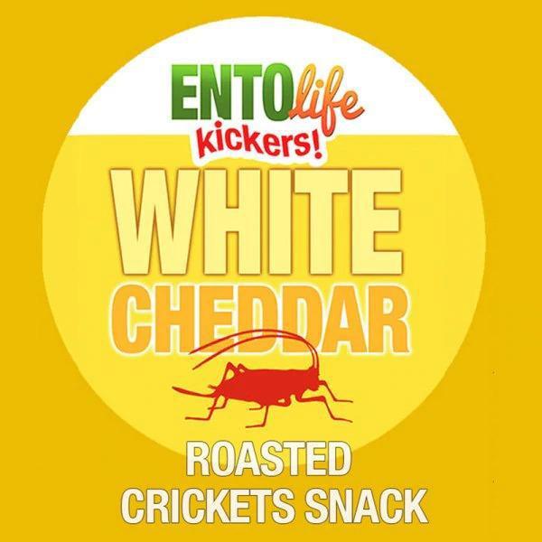 Mini-Kickers Flavored Roasted Crickets by Entosense