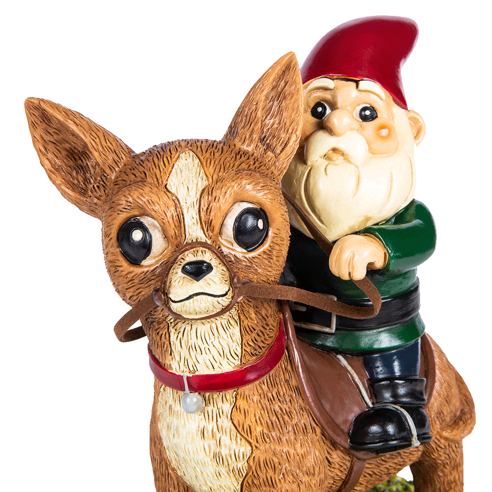 Funny Chihuahua Garden Gnome