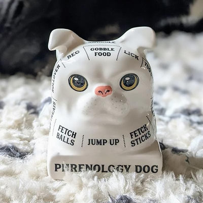 Phrenology Dog Bust- Read Your Dog's Mind! - Running Press