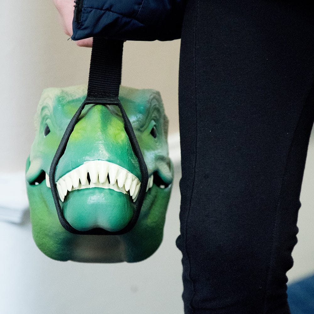 Dinosaur LunchBox