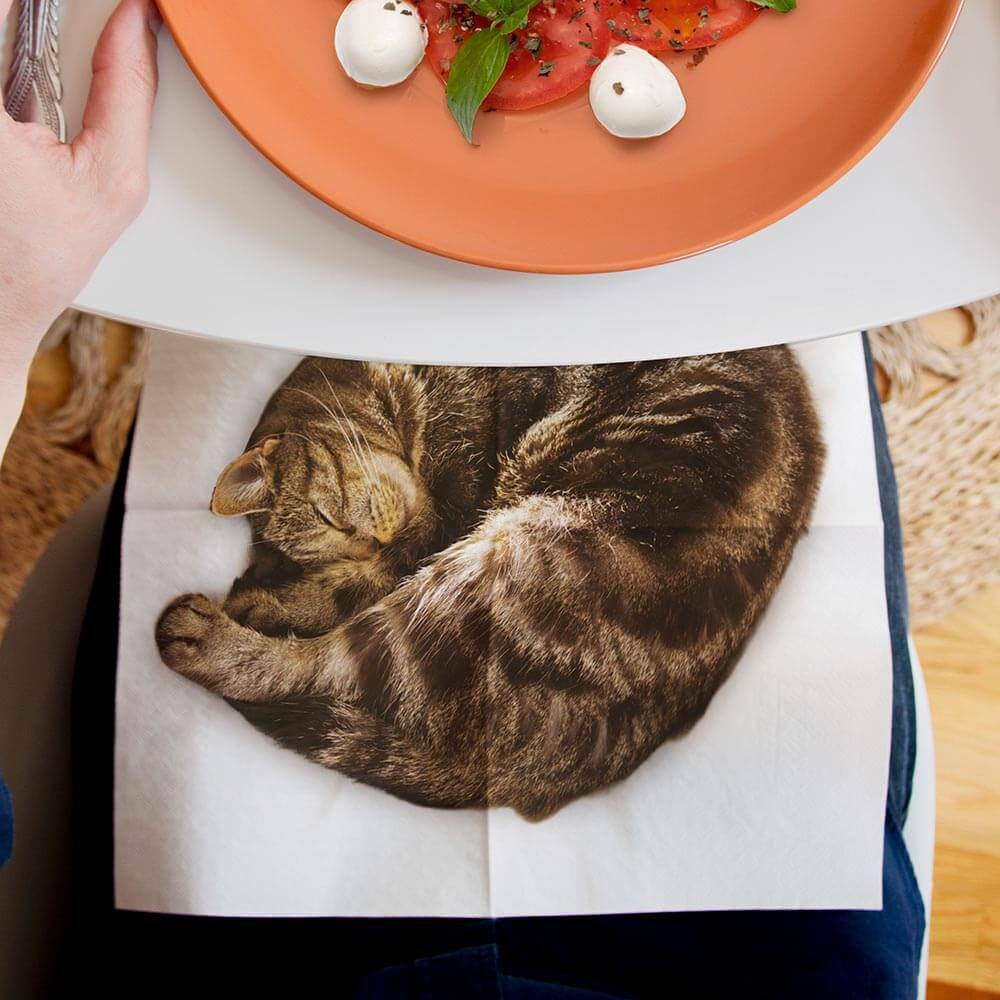 Lap Cat Napkins - SuckUK