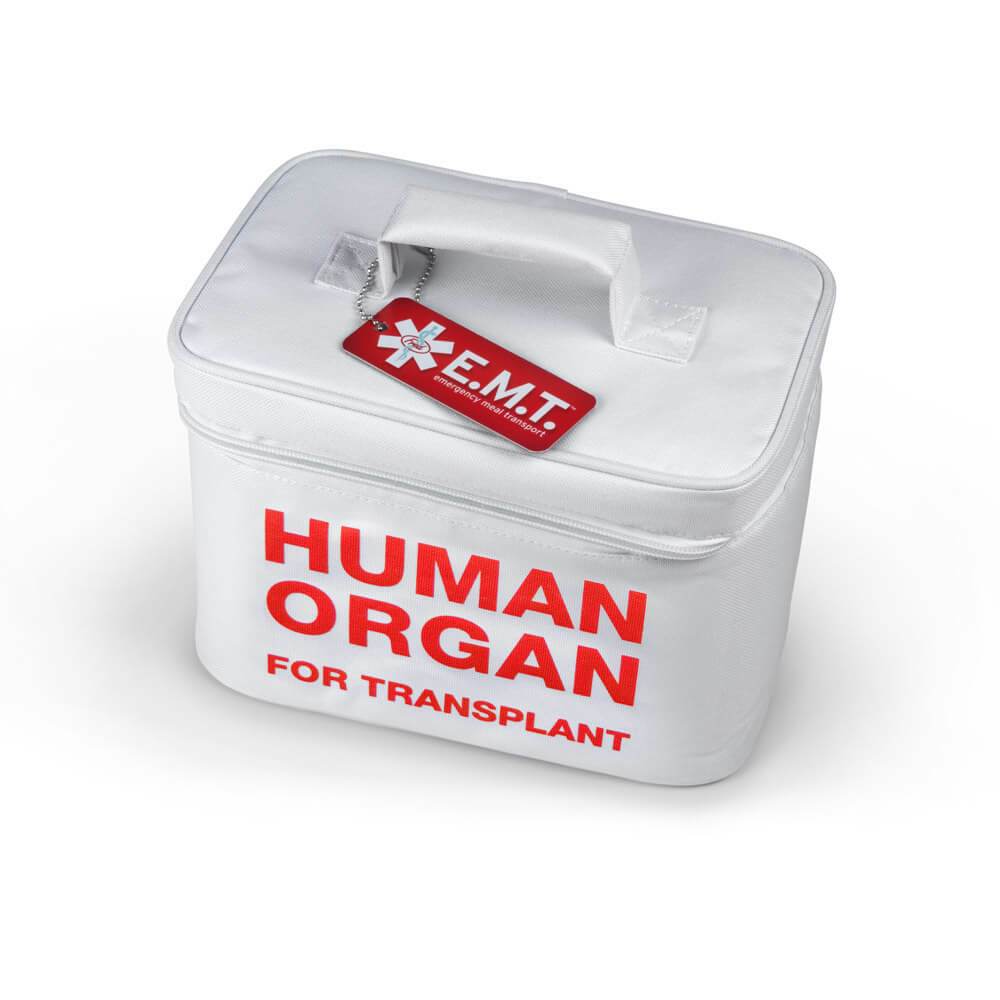 Human Organ Tote Cooler by Fred & Friends