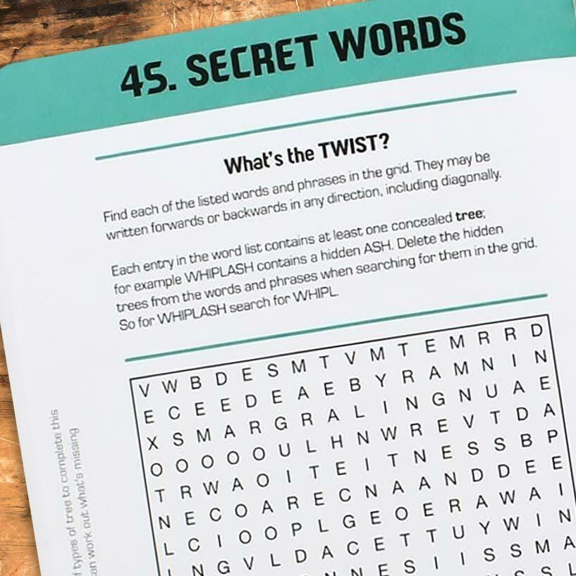 Twisted Word Search by Ginger Fox