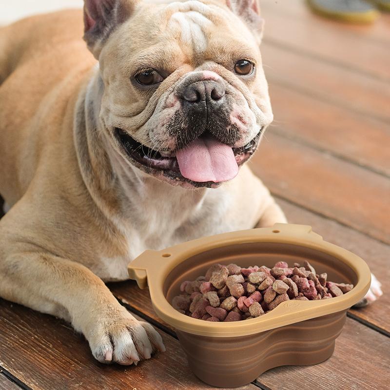 Collapsible Dog Bowl - Unique Gift by Fred