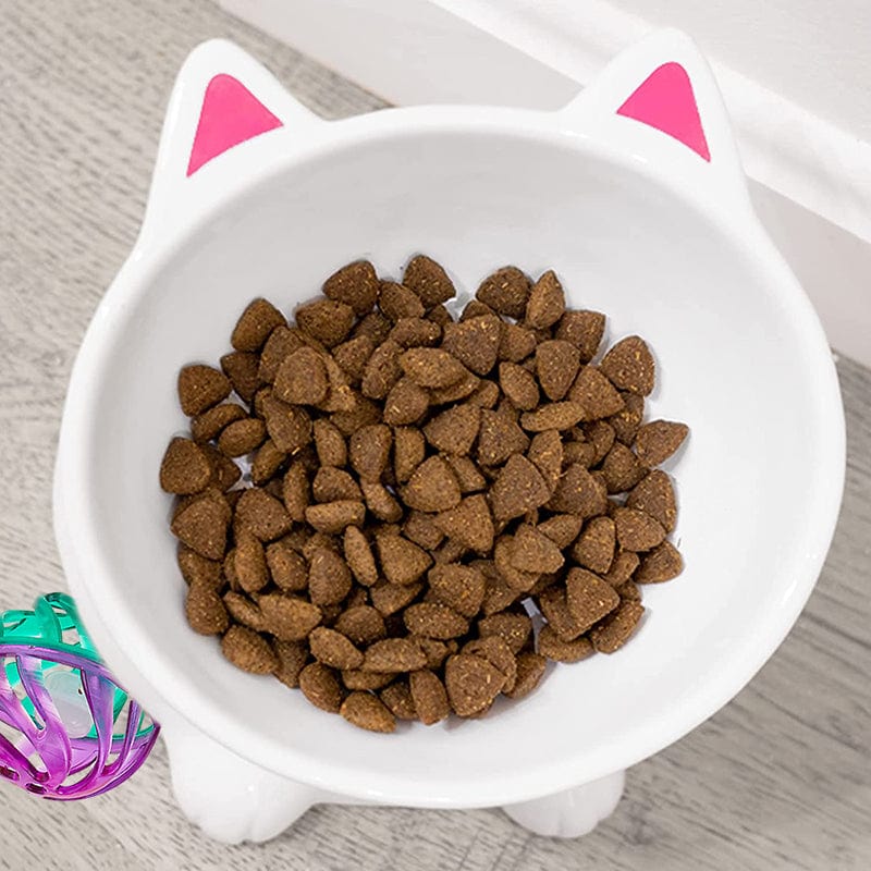 Food bowl cat best sale