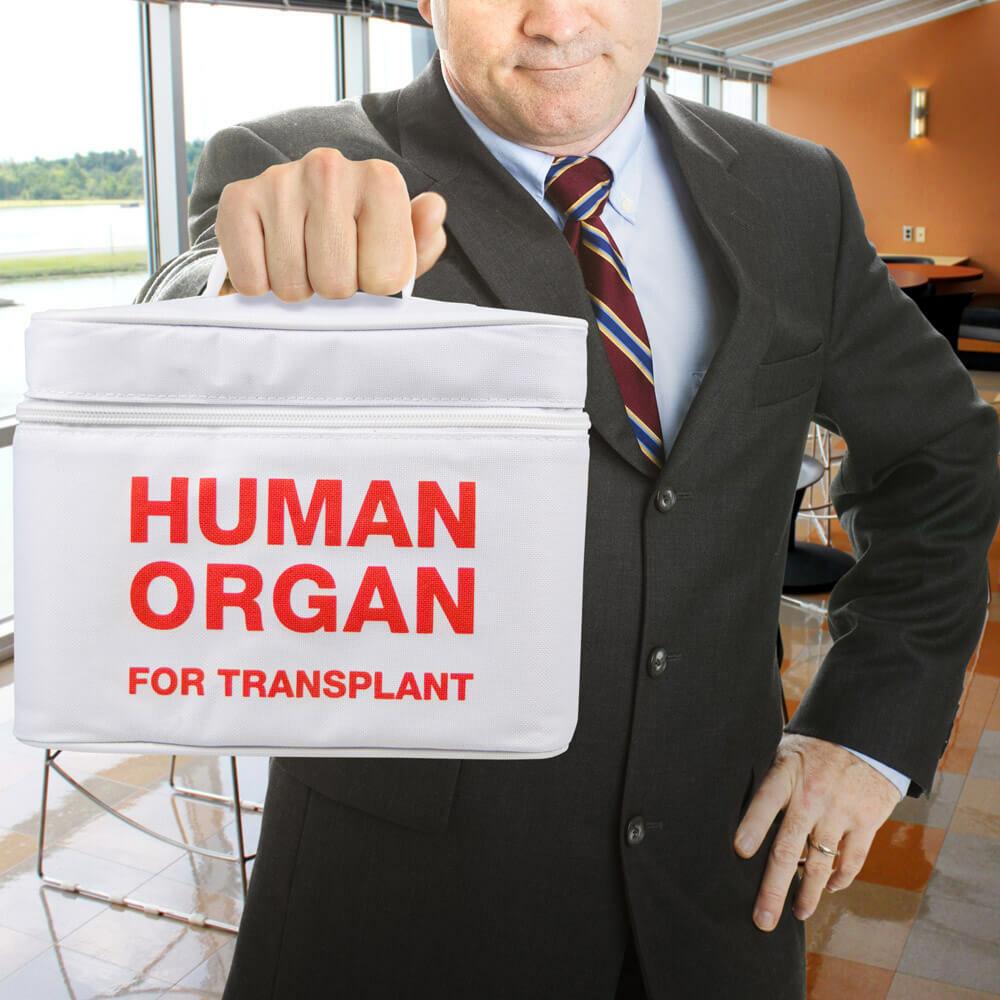 Human Organ Tote Cooler - Unique Gift by Fred