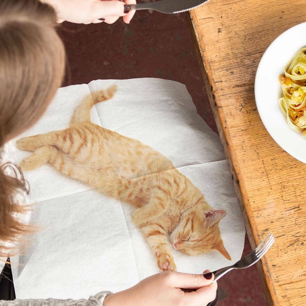 Lap Cat Napkins - Unique Gift by SuckUK