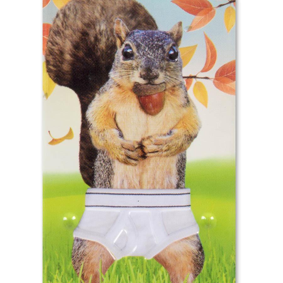Squirrel in Underpants Nodder – Archie McPhee